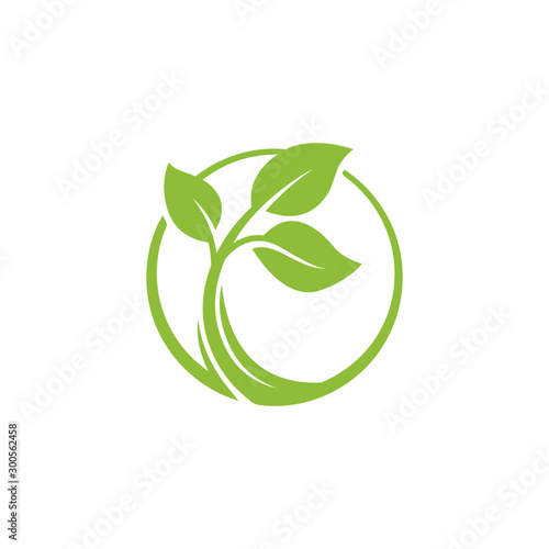 nature green leaf element vector icon. green leaves vector symbol