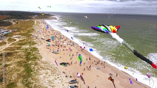 Kites at the Beach
