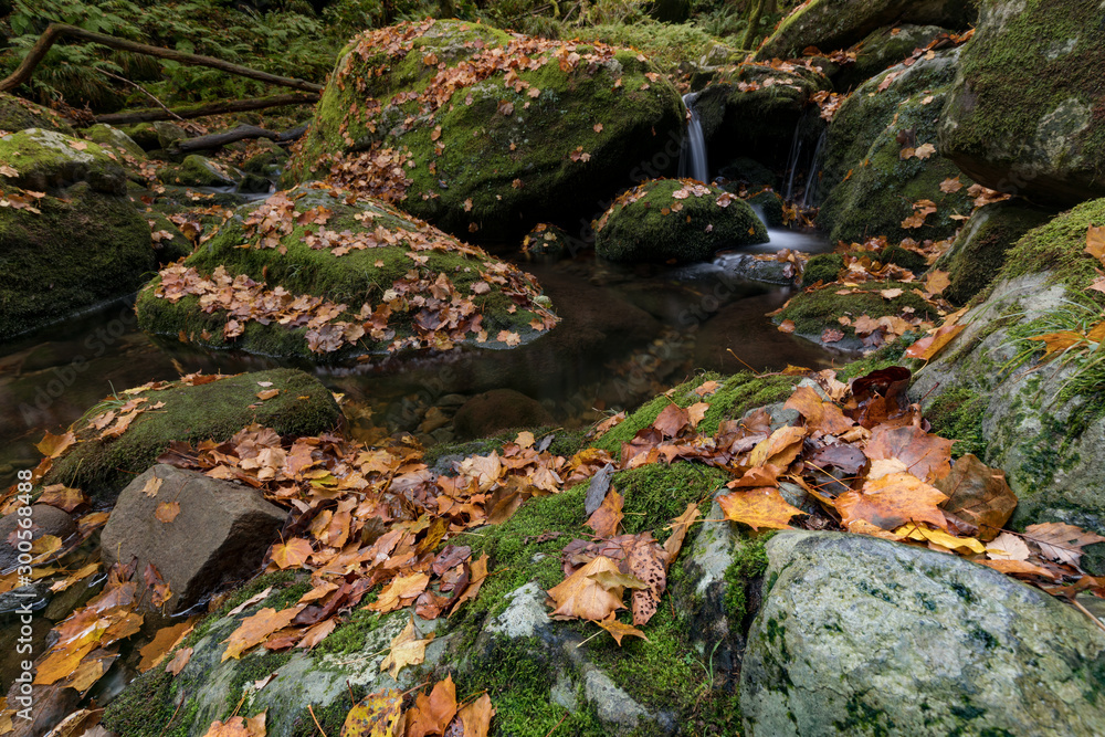 Fototapeta premium 秋田県 元滝伏流水