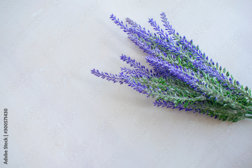 Fototapeta premium bunch of lavender on white background