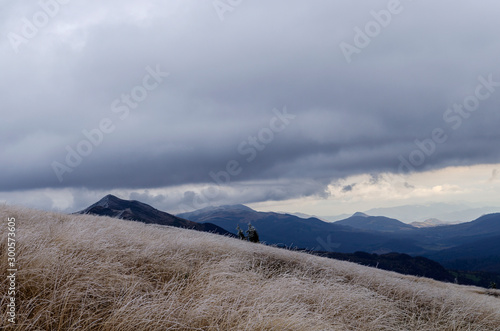 Fototapeta Naklejka Na Ścianę i Meble -  bieszczady połonina Caryńska