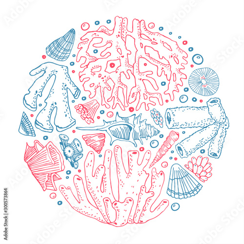 Round composition with outline corals and seashells. Hand drawn vector sketch illustration