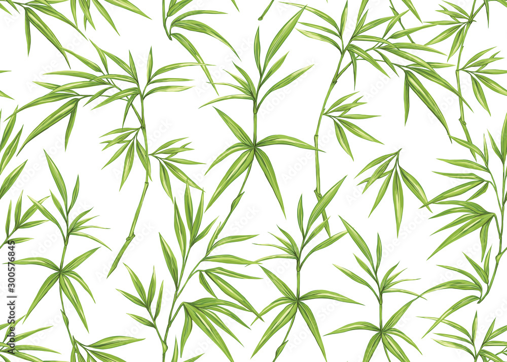 Naklejka Seamless pattern, background with tropical plants, flowers. Colored vector illustration. Isolated on white background.