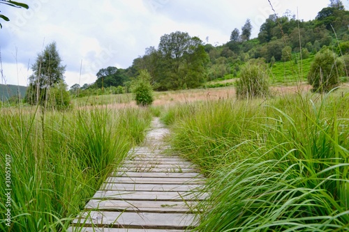 Boardwalk