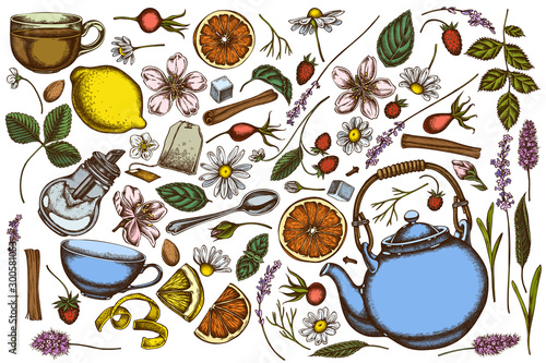 Vector set of hand drawn colored cinnamon, lemons, oranges, tea bag, sugar cubes, heather, chamomile, dog rose, peppermint, almond, strawberry, teaspoon, teapots, cups, sugar bowl