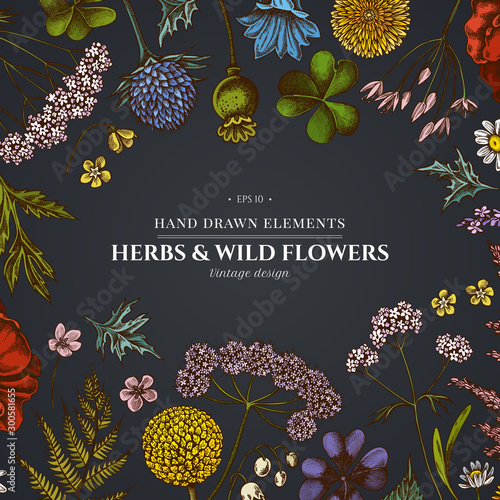 Floral design on dark background with shepherd's purse, heather, fern, wild garlic, clover, globethistle, gentiana, astilbe, craspedia, lagurus, black caraway, chamomile, dandelion, poppy flower, lily
