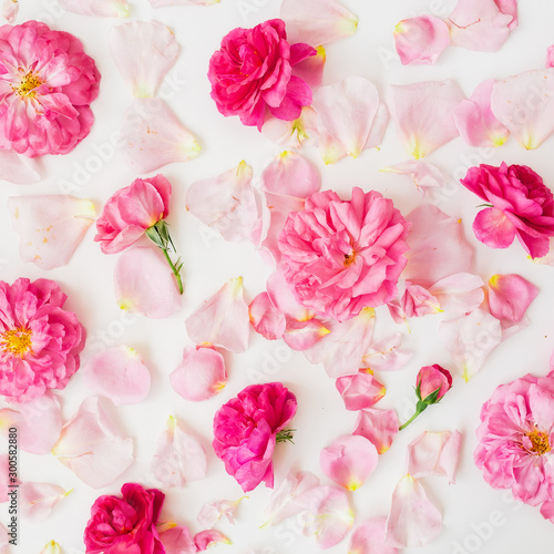 Floral composition with pink roses and leaves on white background. Flat lay