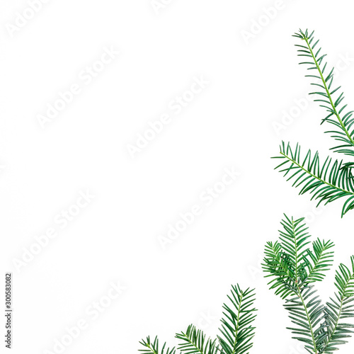 Christmas concept of fir branches on white background. Holiday background. Flat lay