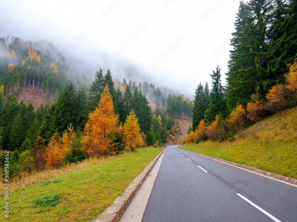 Foliage in autumn - Walk in the mountains