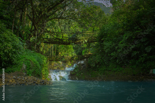 Tableau sur toile double deck root bridge meghalaya