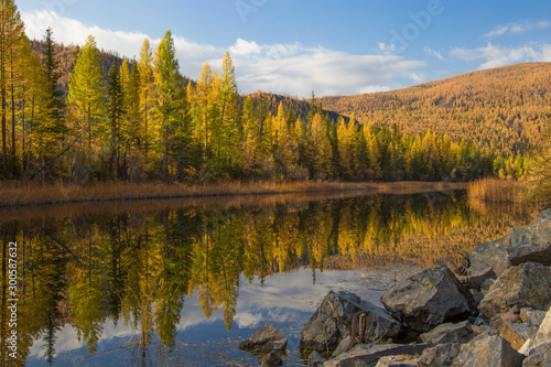 Fototapeta Naklejka Na Ścianę i Meble -  Reflection of an autumn forest in the water