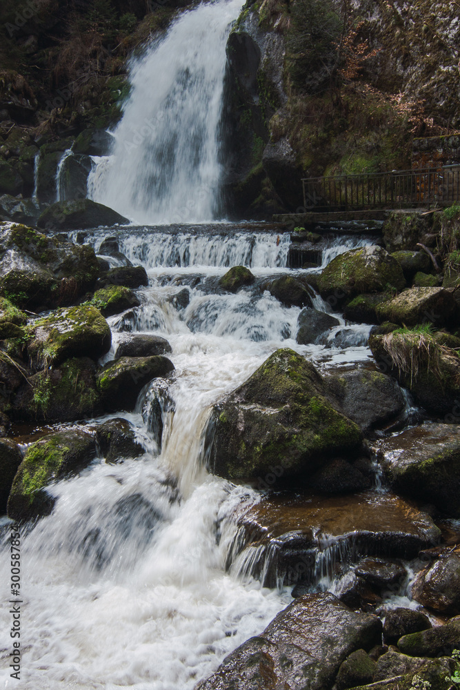 Obraz premium waterfall in the forest