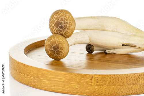 Group of two whole fresh brown buna shimeji mushroom on bamboo coaster isolated on white background