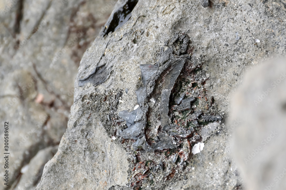 Archaeologists are using tools and equipment to explore fossils found in sedimentary rocks Archaeologists are using tools and equipment to explore fossils found in sedimentary rocks