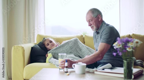 Senior grandfather looking after sick small granddaugther indoors at home. photo