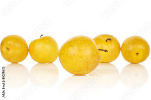 Group of five whole fresh yellow plum isolated on white background