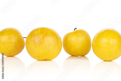 Group of four whole fresh yellow plum isolated on white background