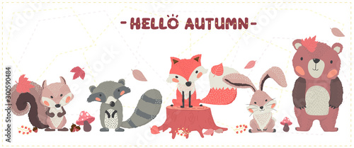 cute animal woodland happy autumn set
