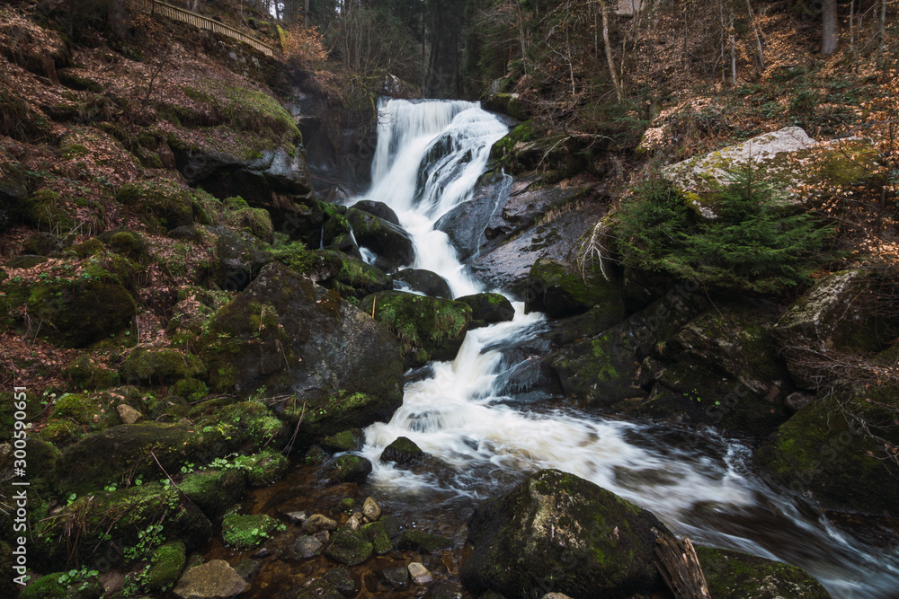 Naklejka premium waterfall in forest