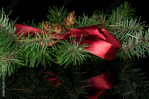 Lot of whole christmas green branch spruce with red ribbon isolated on black glass