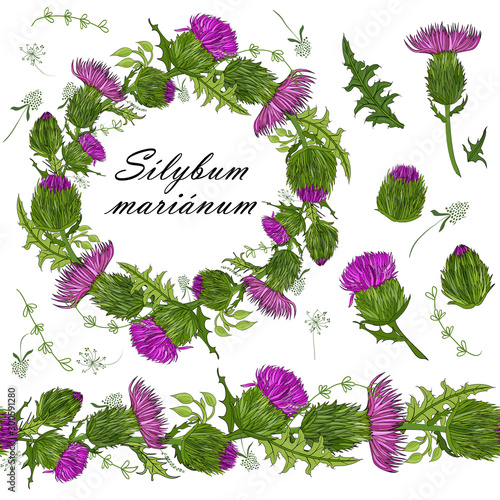 floral set of seamless floral brushes from milk thistle flowers and a beautiful wreath