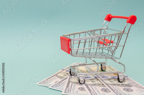 red shopping cart stands on dollar bills on a blue background. Concept of online shopping, online shopping. Copy space