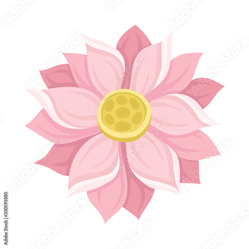 Waterlily Scaled Pink Flower With Petals Vector Illustration