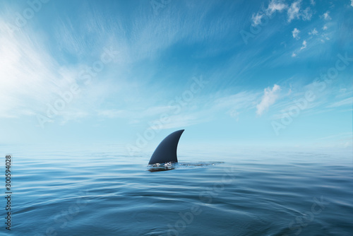 Fotografie, Obraz shark fin on surface of ocean agains blue cloudy sky