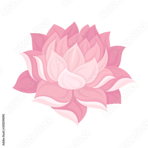 Magnificent Waterlily Flower Bud With Tender Petals Vector Illustration