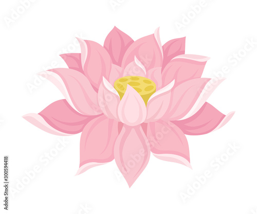 Waterlily Scaled Pink Flower With Petals Vector Illustration