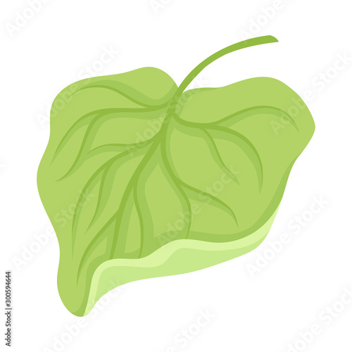 Waterlily Sepal With Leaf Venetion Flower Part Vector Illustration