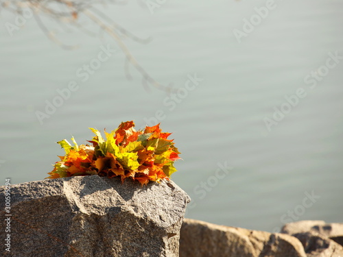 A wreath of yellow fallen leaves lies on a gray stone with sharp edges. Autumn still life on the nature. Romantic mood. Handmade crafts from autumn leaves on a background of the river. Falling asleep