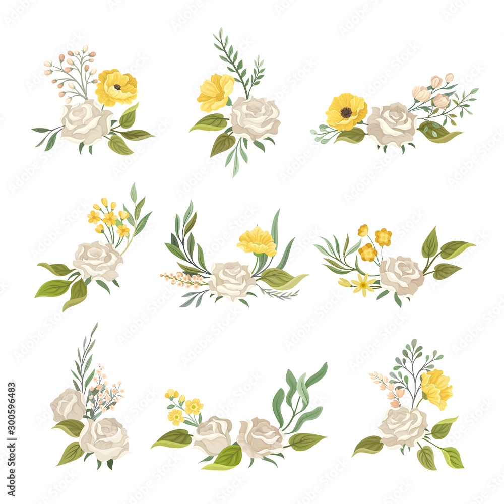 White Roses and Twigs Vector Elements Set For Decoration