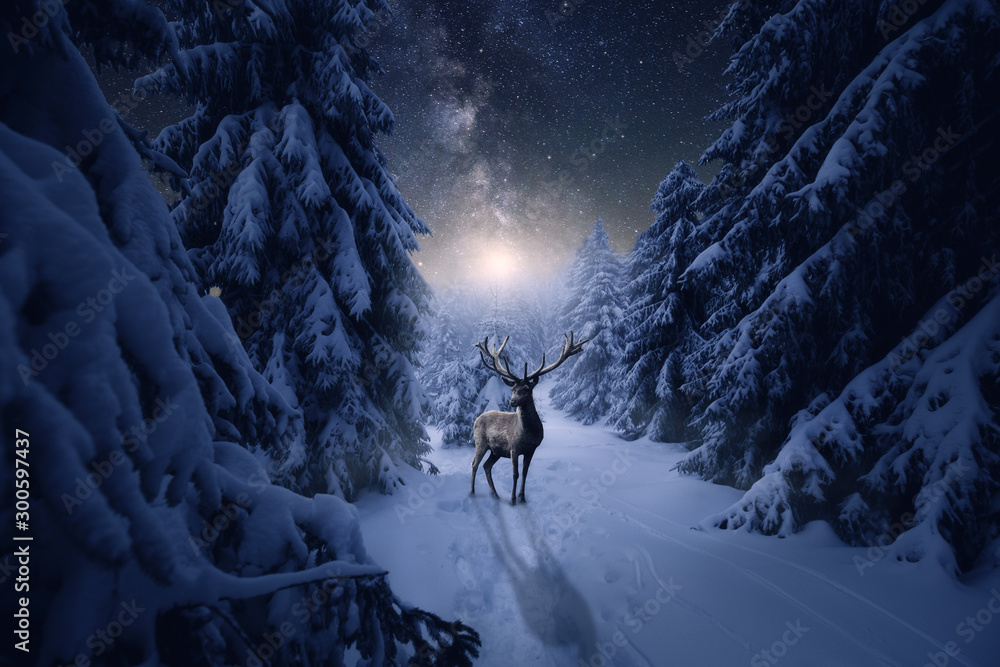 Yeele Fotohintergrund 3,6x2,4 M – Winternacht Mit Schneeflocken, Sternen & Tannen, Für Weihnachtsfotos & Studio