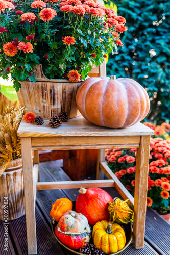 Colorful pumpkins on the terrace decorations.