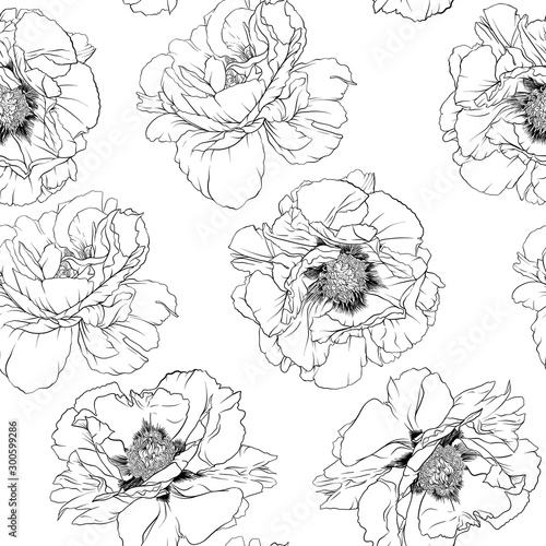 Peony flowers. Seamless pattern  background. Outline hand drawing vector illustration. In botanical style Isolated on white background..