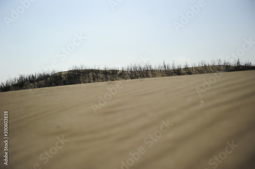 dunas