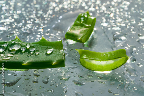 Sliced pieces of aloe vera medicinal plant with water drops on a glass background, close-up