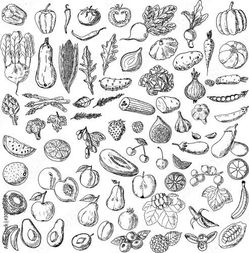 Set of hand-hand drawn food. Vegetables, fruits, berries. Vegetarian set.