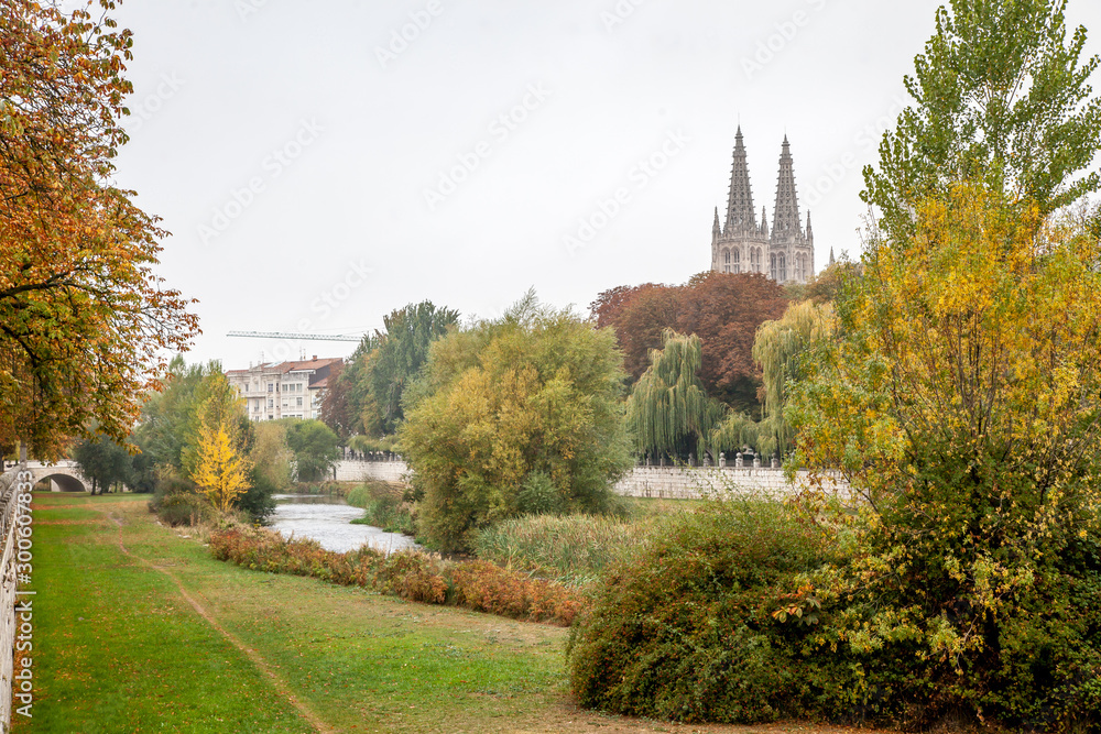 custom made wallpaper toronto digitalEspacios verdes de Burgos