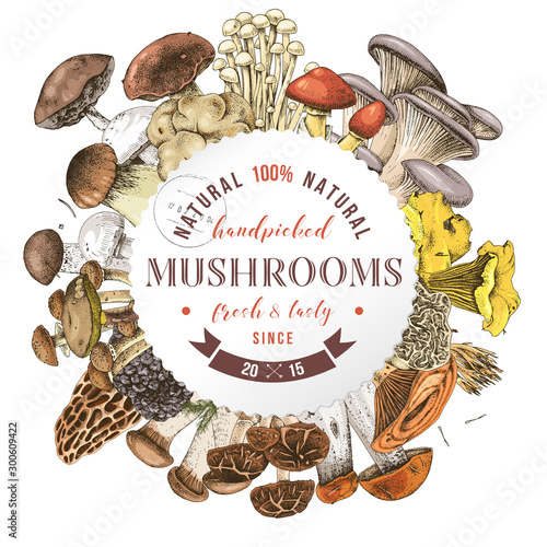 Background with round label and type design over hand drawn edible mushrooms