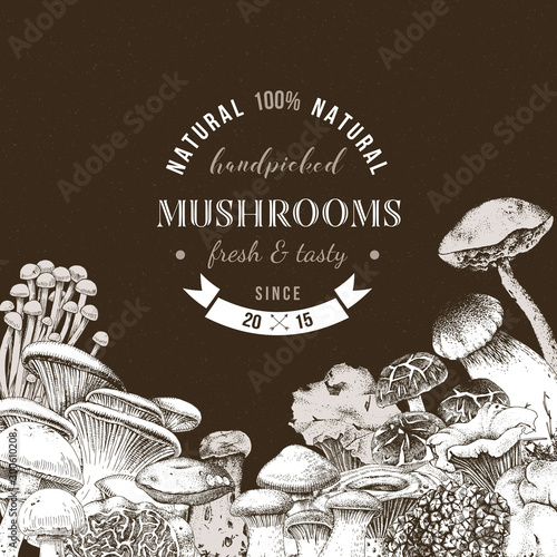 Background with hand drawn edible mushrooms