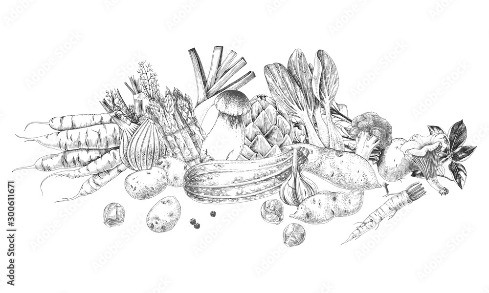 Obraz premium Hand drawn vegetables