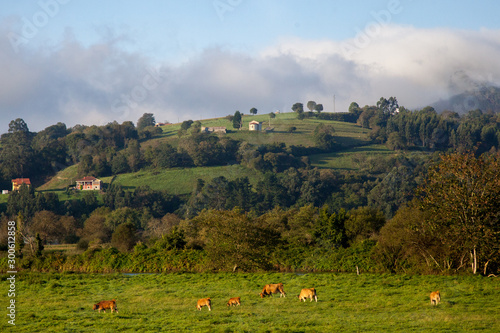 Wallpaper Mural Paisaje asturiano Torontodigital.ca