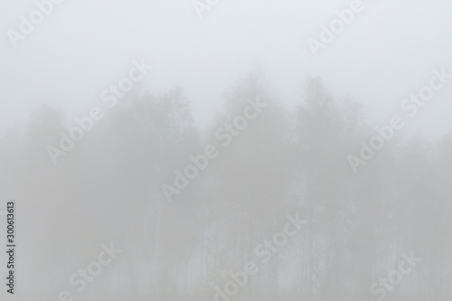 Morning landscape area in the fog © Сергей Старостов