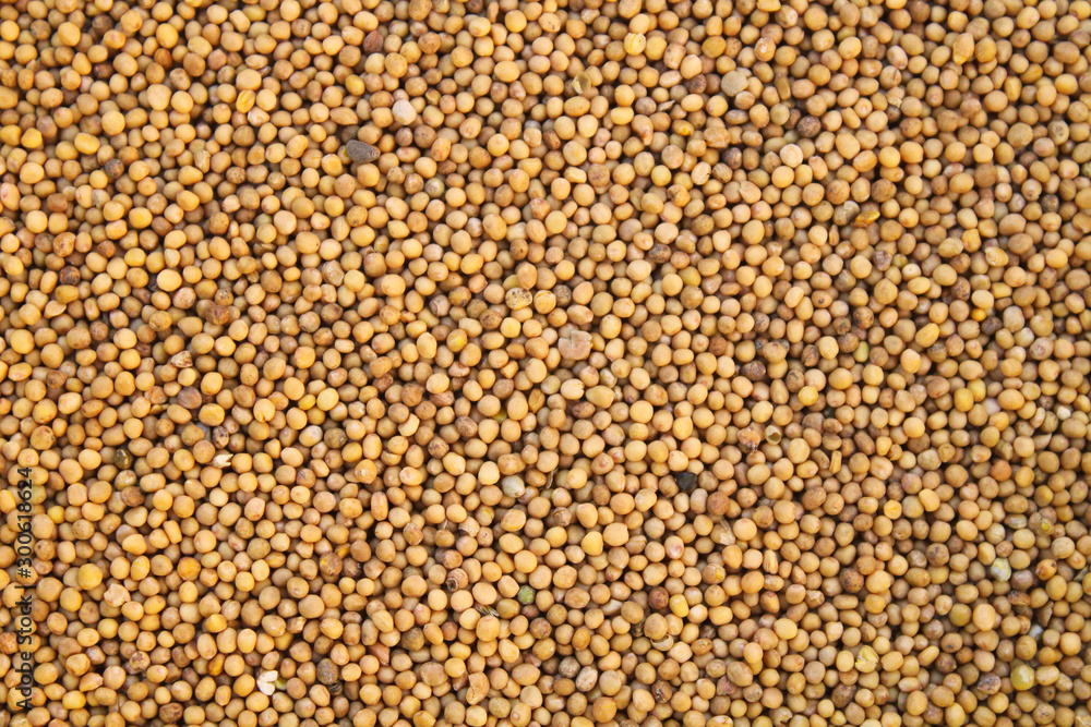 Mustard Seeds Close-up. Top view. Background. Texture.