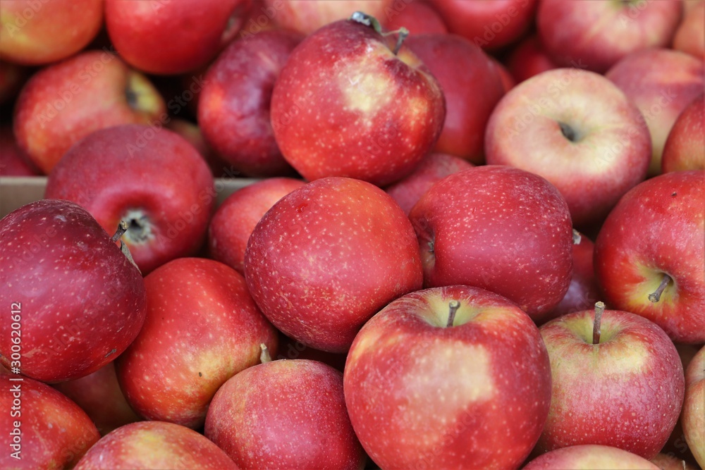 close up of apple on display at the market close up of apple on display at the market