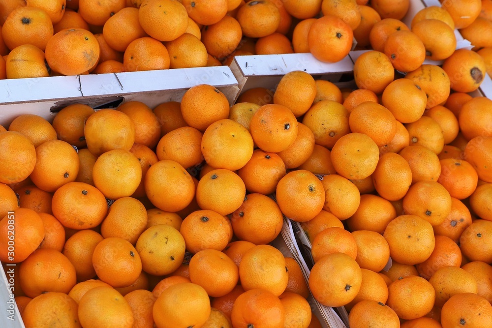 close up of boxes of oranges on display at the market