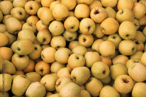 closeup of yellow apples on display at the market