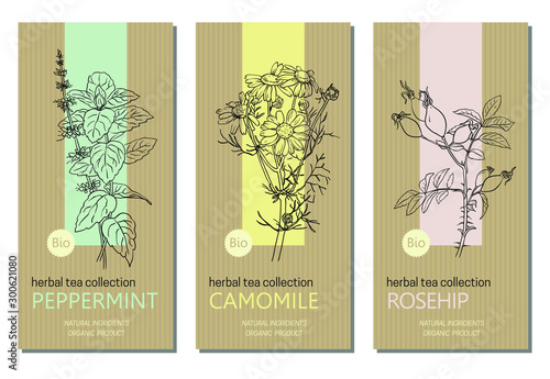 Vector set of herbal tea labels with herbs and plants sketches: chamomile, peppermint and rose hip. Packaging template. Healthy food, bio, organic, natural product, herbal tea.